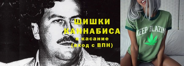 круглые Вяземский