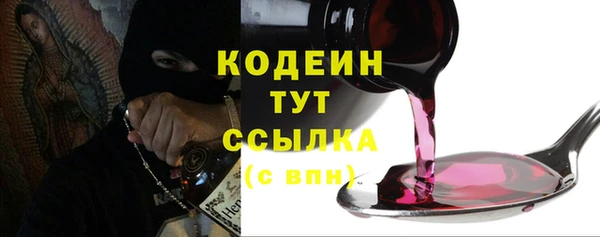 индика Семилуки