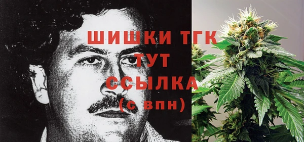 круглые Вяземский