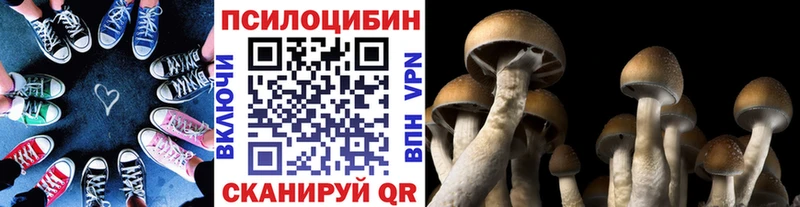 продажа наркотиков Елабуга Галлюциногенные грибы Psilocybe